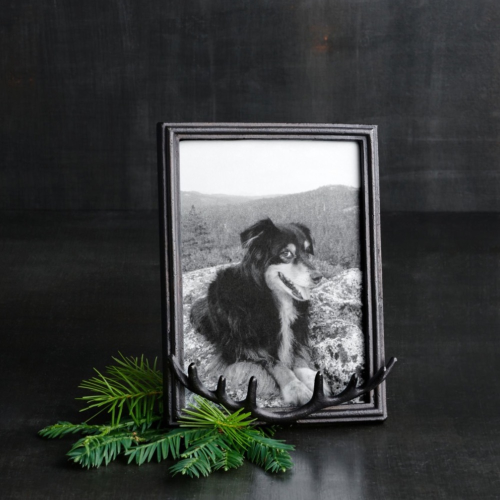 Pottery Barn Antique Bronze Stag Antler 5 x 7 Frame Sold Out New In Box 🦌